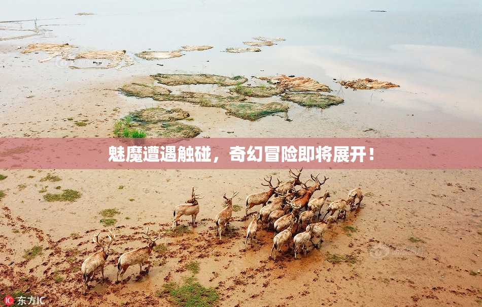 魅魔遭遇触碰，奇幻冒险即将展开！