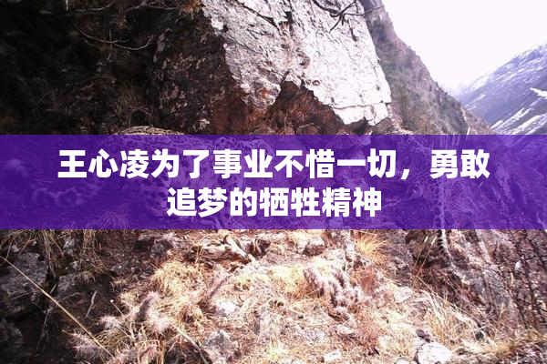 王心凌为了事业不惜一切，勇敢追梦的牺牲精神