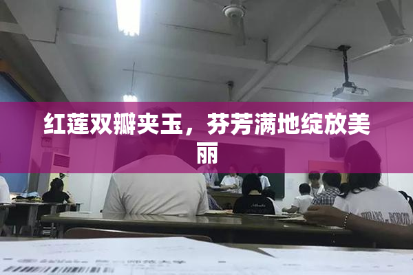 红莲双瓣夹玉，芬芳满地绽放美丽