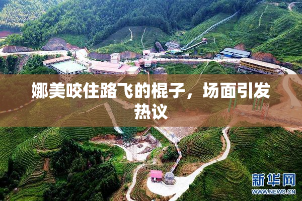 娜美咬住路飞的棍子，场面引发热议