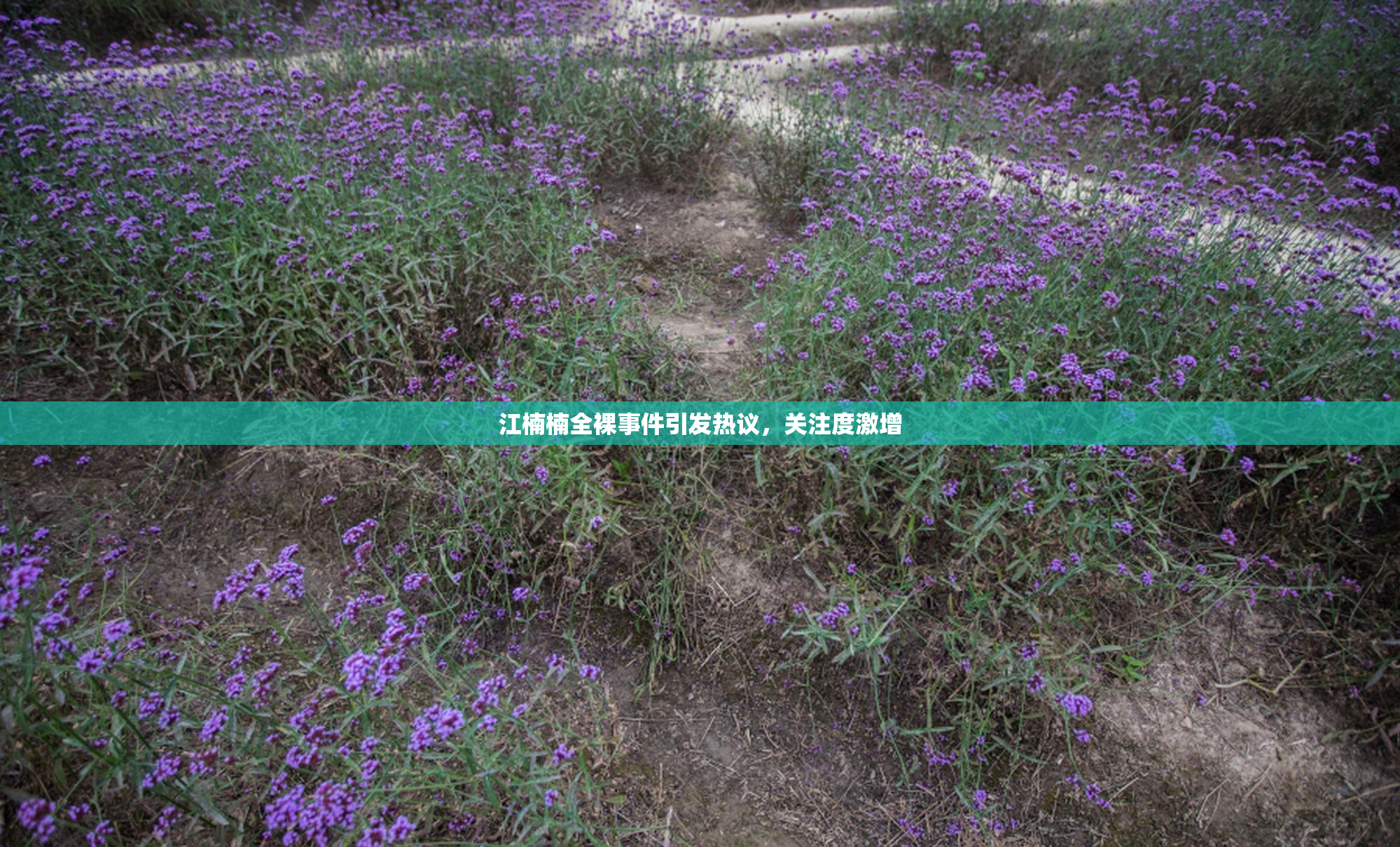 江楠楠全裸事件引发热议，关注度激增