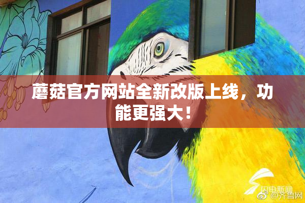 蘑菇官方网站全新改版上线，功能更强大！