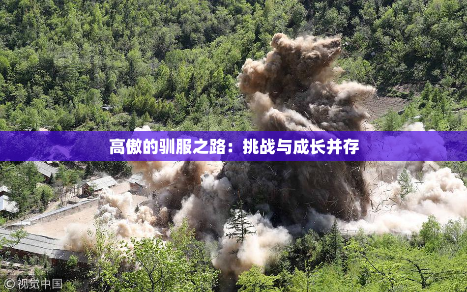 高傲的驯服之路：挑战与成长并存