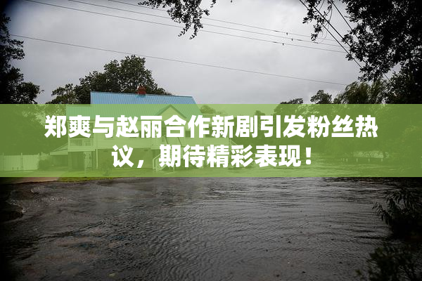郑爽与赵丽合作新剧引发粉丝热议，期待精彩表现！