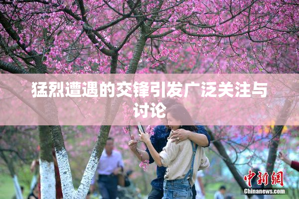 猛烈遭遇的交锋引发广泛关注与讨论