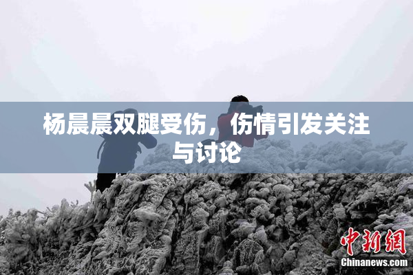 杨晨晨双腿受伤，伤情引发关注与讨论