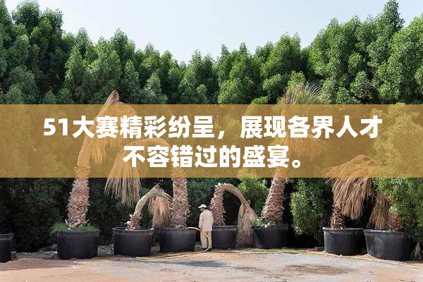 51大赛精彩纷呈，展现各界人才不容错过的盛宴。
