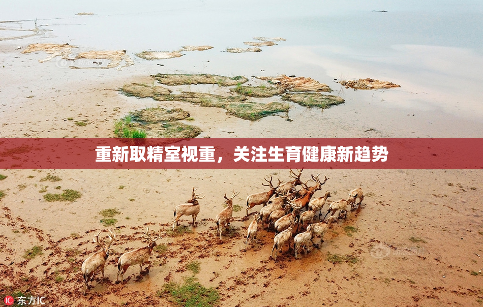 重新取精室视重，关注生育健康新趋势