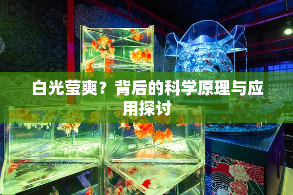 白光莹爽？背后的科学原理与应用探讨