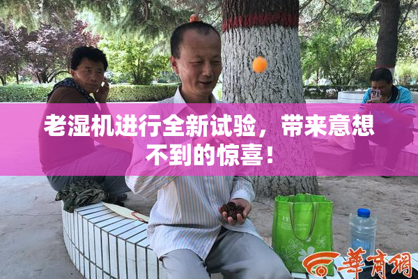 老湿机进行全新试验，带来意想不到的惊喜！