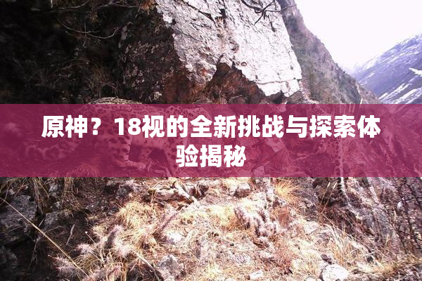 原神？18视的全新挑战与探索体验揭秘