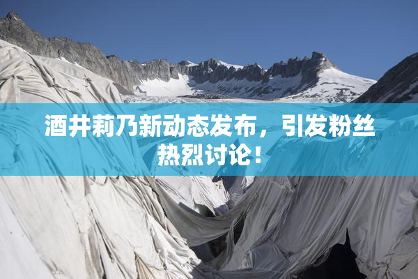 酒井莉乃新动态发布，引发粉丝热烈讨论！