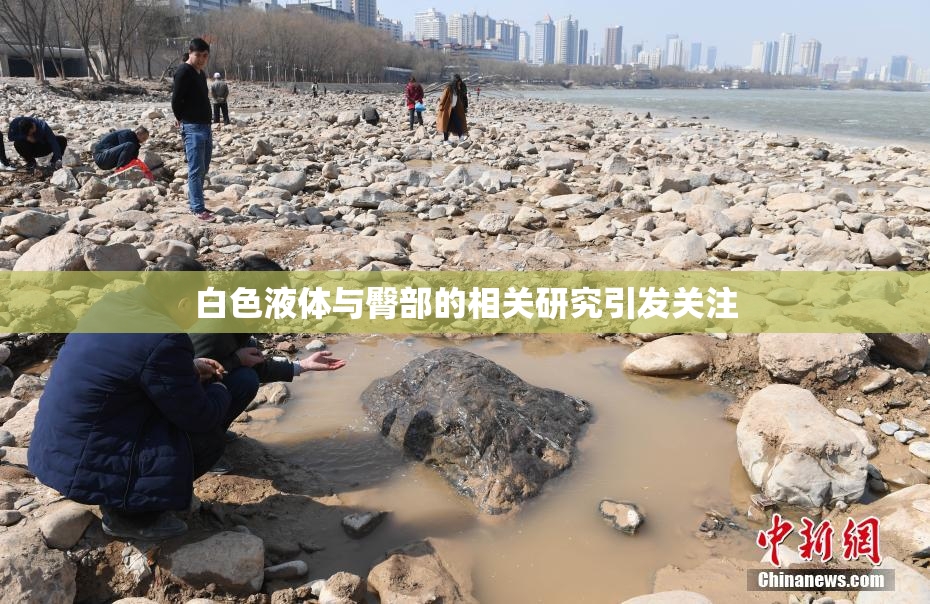 白色液体与臀部的相关研究引发关注