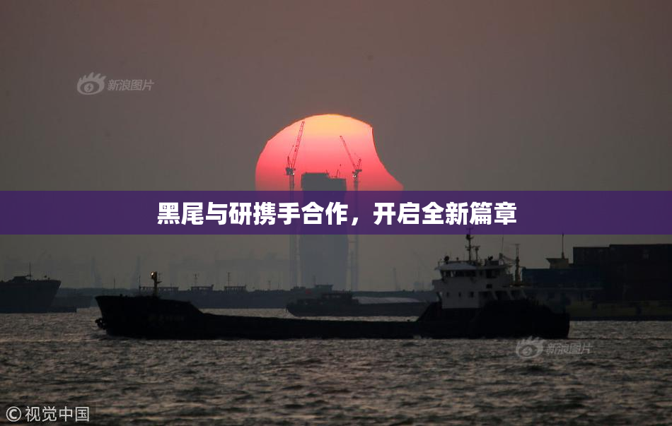 黑尾与研携手合作，开启全新篇章