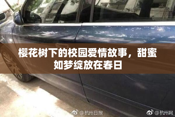 樱花树下的校园爱情故事，甜蜜如梦绽放在春日