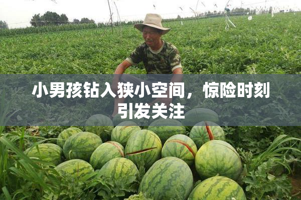 小男孩钻入狭小空间，惊险时刻引发关注