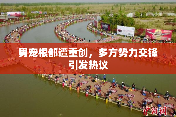 男宠根部遭重创，多方势力交锋引发热议