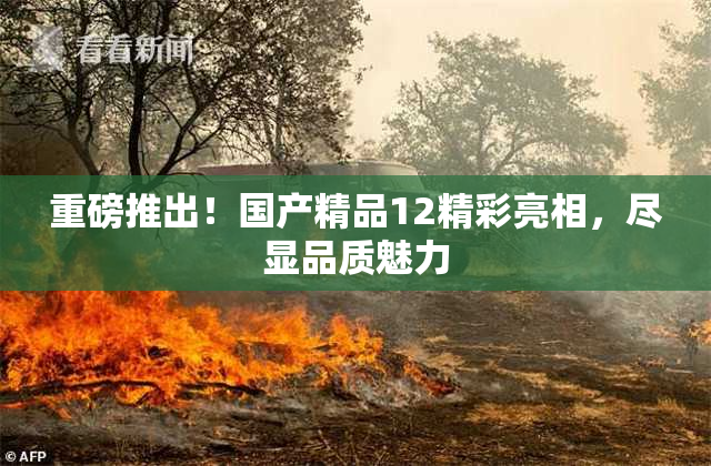 重磅推出！国产精品12精彩亮相，尽显品质魅力