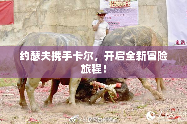 约瑟夫携手卡尔，开启全新冒险旅程！
