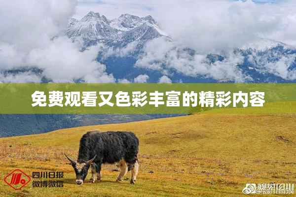 免费观看又色彩丰富的精彩内容