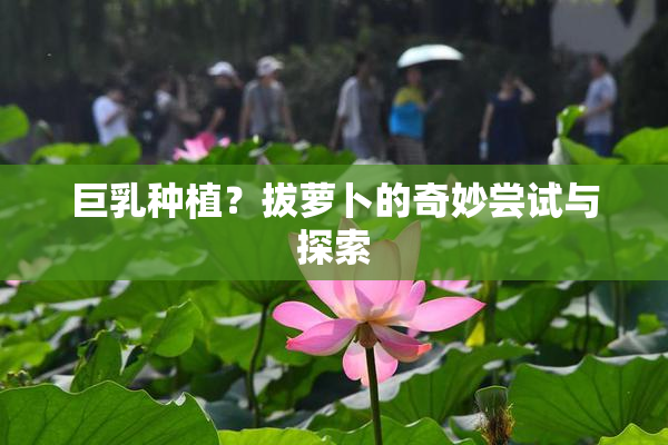 巨乳种植？拔萝卜的奇妙尝试与探索