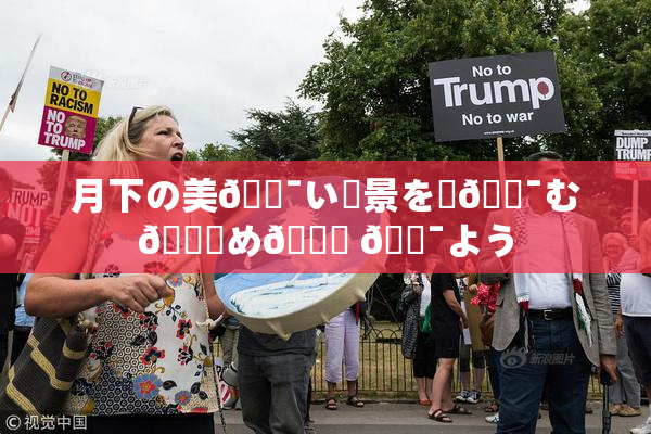 月下の美🔯い風景を楽🔯む👅め🎆 🔯よう