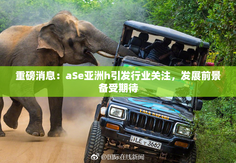 重磅消息：aSe亚洲h引发行业关注，发展前景备受期待