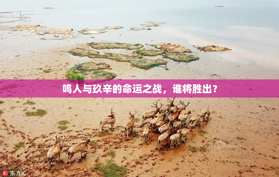 鸣人与玖辛的命运之战，谁将胜出？