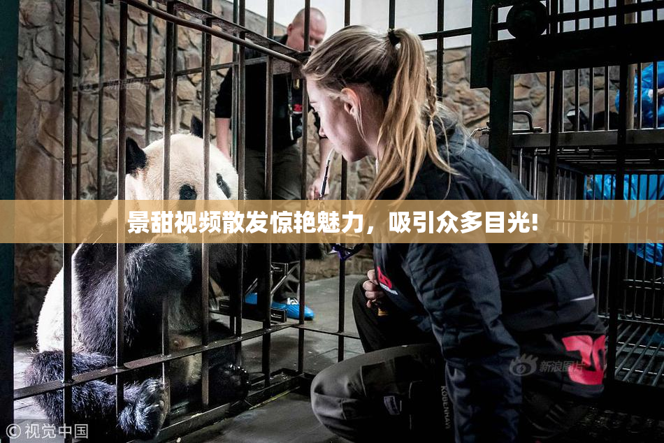 景甜视频散发惊艳魅力，吸引众多目光!