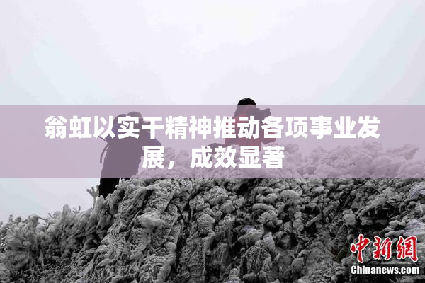 翁虹以实干精神推动各项事业发展，成效显著