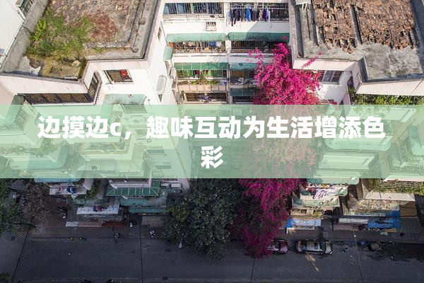 边摸边c，趣味互动为生活增添色彩