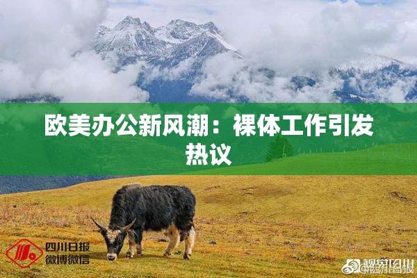 欧美办公新风潮：裸体工作引发热议
