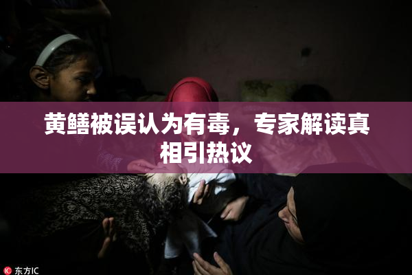黄鳝被误认为有毒，专家解读真相引热议