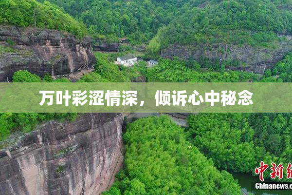 万叶彩涩情深，倾诉心中秘念