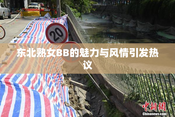 东北熟女BB的魅力与风情引发热议