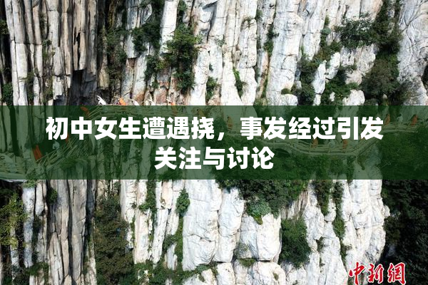 初中女生遭遇挠，事发经过引发关注与讨论