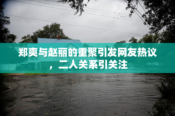 郑爽与赵丽的重聚引发网友热议，二人关系引关注