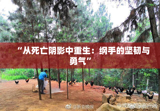 “从死亡阴影中重生：纲手的坚韧与勇气”