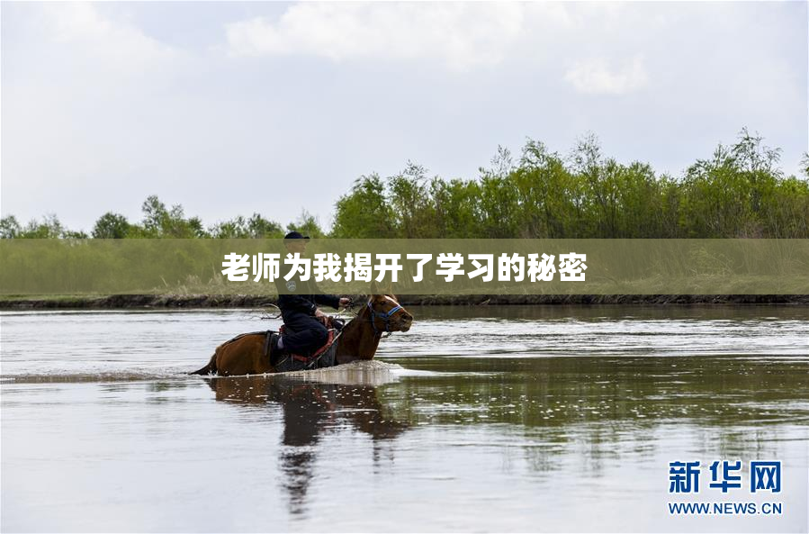 老师为我揭开了学习的秘密