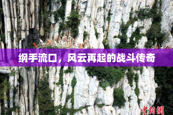 纲手流口，风云再起的战斗传奇