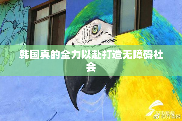 韩国真的全力以赴打造无障碍社会
