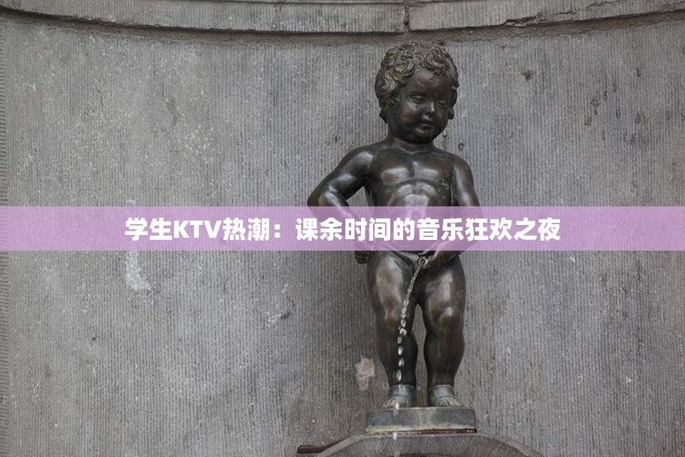 学生KTV热潮：课余时间的音乐狂欢之夜