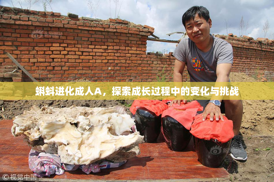 蝌蚪进化成人A，探索成长过程中的变化与挑战