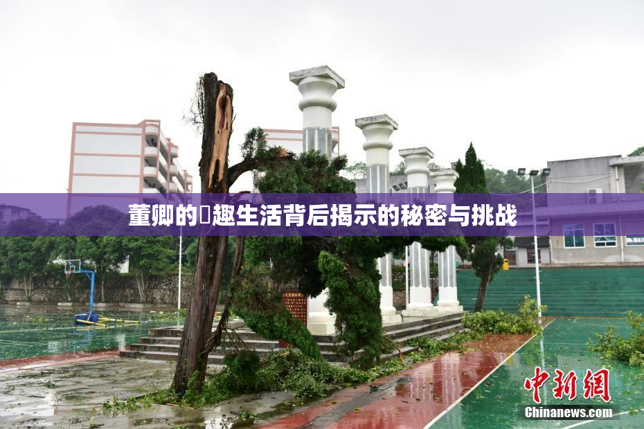董卿的婬趣生活背后揭示的秘密与挑战