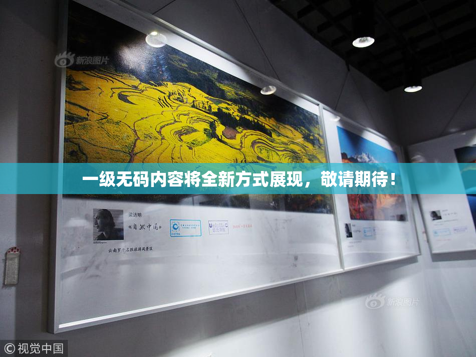 一级无码内容将全新方式展现，敬请期待！