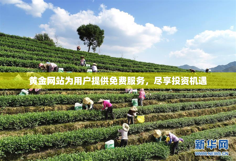 黄金网站为用户提供免费服务，尽享投资机遇