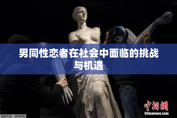 男同性恋者在社会中面临的挑战与机遇