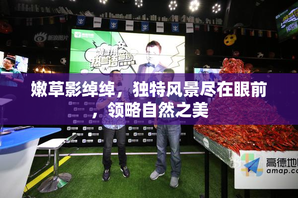 嫩草影绰绰，独特风景尽在眼前，领略自然之美