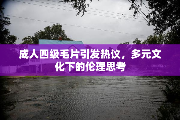 成人四级毛片引发热议，多元文化下的伦理思考