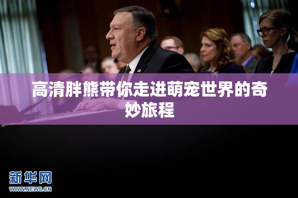 高清胖熊带你走进萌宠世界的奇妙旅程